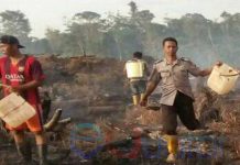 Bakar 1 Hektar Lahan, Petani Jagung Diciduk Polisi