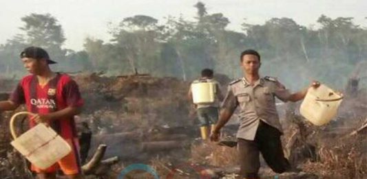Bakar 1 Hektar Lahan, Petani Jagung Diciduk Polisi