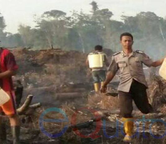 Bakar 1 Hektar Lahan, Petani Jagung Diciduk Polisi