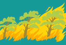 Waspadai Karhutla di Hutan Lindung