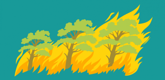 Waspadai Karhutla di Hutan Lindung