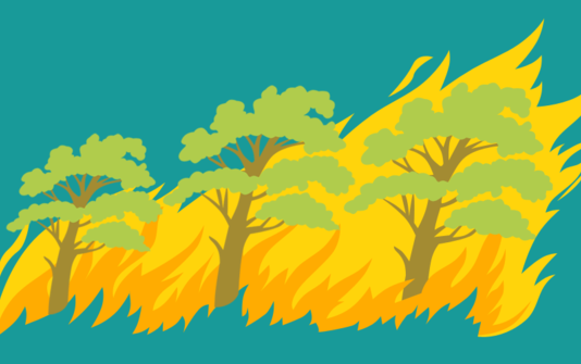 Pemilik Lahan Diduga Sengaja Membakar