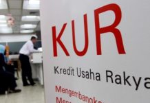 Serapan KUR Rendah, Pemerintah Harus “Hadir”