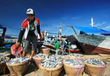 Paska Lebaran Harga Ikan Meroket Tajam
