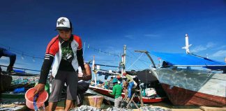 Paska Lebaran Harga Ikan Meroket Tajam