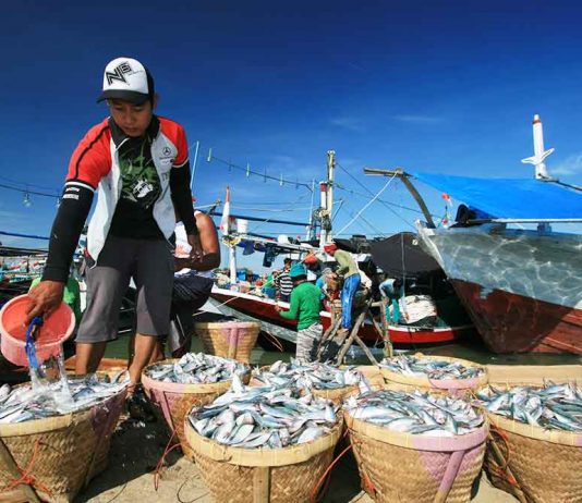 Paska Lebaran Harga Ikan Meroket Tajam