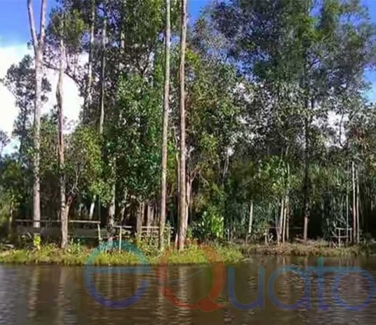 Daratan Mengapung di Tengah Danau Siawan, Kapuas Hulu