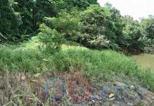 Program Restorasi Mesti Diawasi