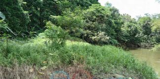 Program Restorasi Mesti Diawasi