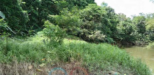 Program Restorasi Mesti Diawasi