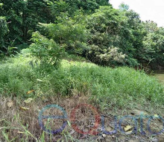 Program Restorasi Mesti Diawasi