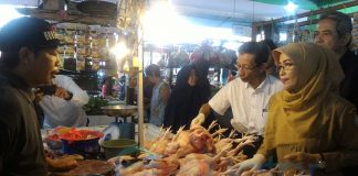 Disnakeswan Kalbar Sidak Pasar Tradisional, Ambil Sampel Daging Uji Laboratorium