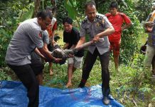 Terjun dari Jembatan Siswa SMP Tenggelam
