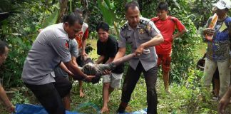 Terjun dari Jembatan Siswa SMP Tenggelam