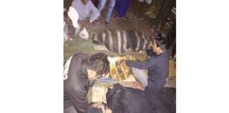 Ikan Tak Dapat, Malah Tewaskan Tiga Warga