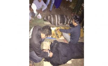 Ikan Tak Dapat, Malah Tewaskan Tiga Warga