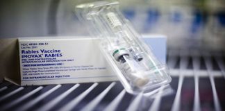 Butuh Vaksin untuk Manusia