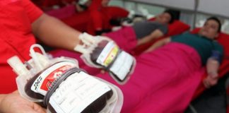 Donor Darah Sambut HUT RI, Dispora Gandeng Hipmi dan OKP