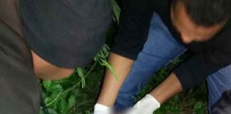 Mayat Bayi Ditemukan di Tempat Sampah