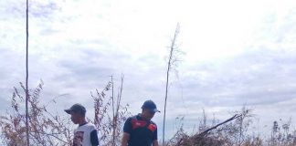 Ngasap Kebun Lada, Bakar Lahan Warga