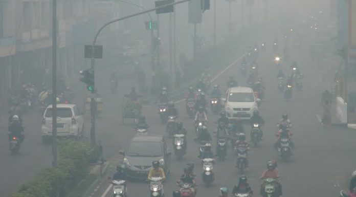 Kabut Asap, Produk Indonesia Bisa Diboikot