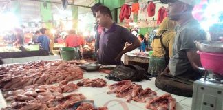Stok Ayam Potong Kurang, Pemerintah Diminta Tanggap