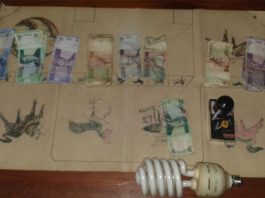 Bandar dan Pemain Judi Liong Fu Dibekuk