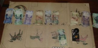 Bandar dan Pemain Judi Liong Fu Dibekuk