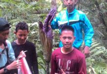 Keasikan Lihat Bunga Bangkai, Tak Sampai Puncak Air Bintang