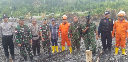 Dandim: Tindak Tegas Pembakar Lahan