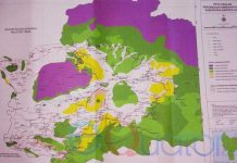 Dilema Pelestarian Hutan dan Tuntutan Perut Rakyat