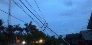 Puluhan Tiang Listrik Tumbang, Mempawah Gelap Gulita