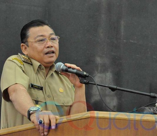 PLN Tak Jelas Dukung Sail Selat Karimata