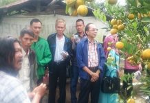 Petani Tak Paham Pupuk Anorganik Merusak Hara