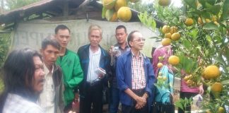 Petani Tak Paham Pupuk Anorganik Merusak Hara