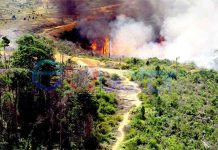 Bupati: Jangan Buka Lahan dengan Membakar!