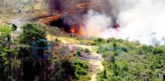 Bupati: Jangan Buka Lahan dengan Membakar!
