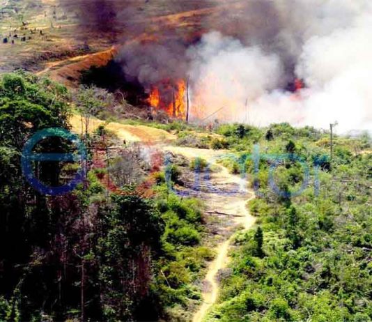 Bupati: Jangan Buka Lahan dengan Membakar!