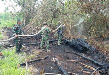 150 Hektar Lahan di Singkawang Terbakar