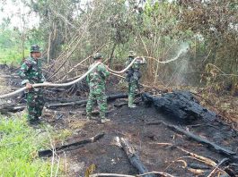 150 Hektar Lahan di Singkawang Terbakar