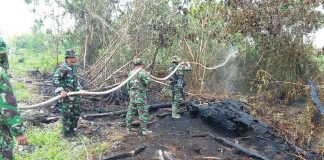 150 Hektar Lahan di Singkawang Terbakar