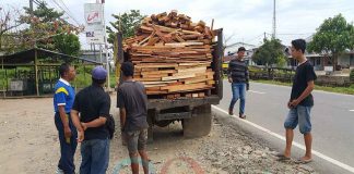 Truk Pengangkut Kayu Membahayakan Pengendara