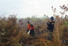 Dua Hari, BPBD Tanggulangi Lima Kebakaran