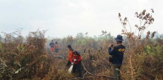 Dua Hari, BPBD Tanggulangi Lima Kebakaran