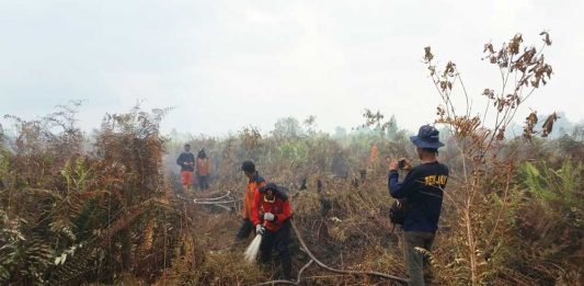 Dua Hari, BPBD Tanggulangi Lima Kebakaran