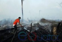 Enam Hektar Lahan Terbakar