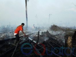 Enam Hektar Lahan Terbakar