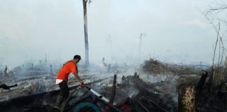 Enam Hektar Lahan Terbakar