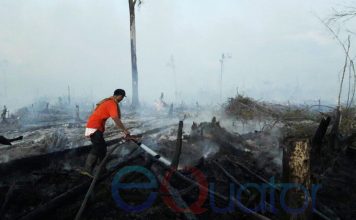 Enam Hektar Lahan Terbakar