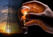 PLTN Jadi Solusi Industri Kalbar